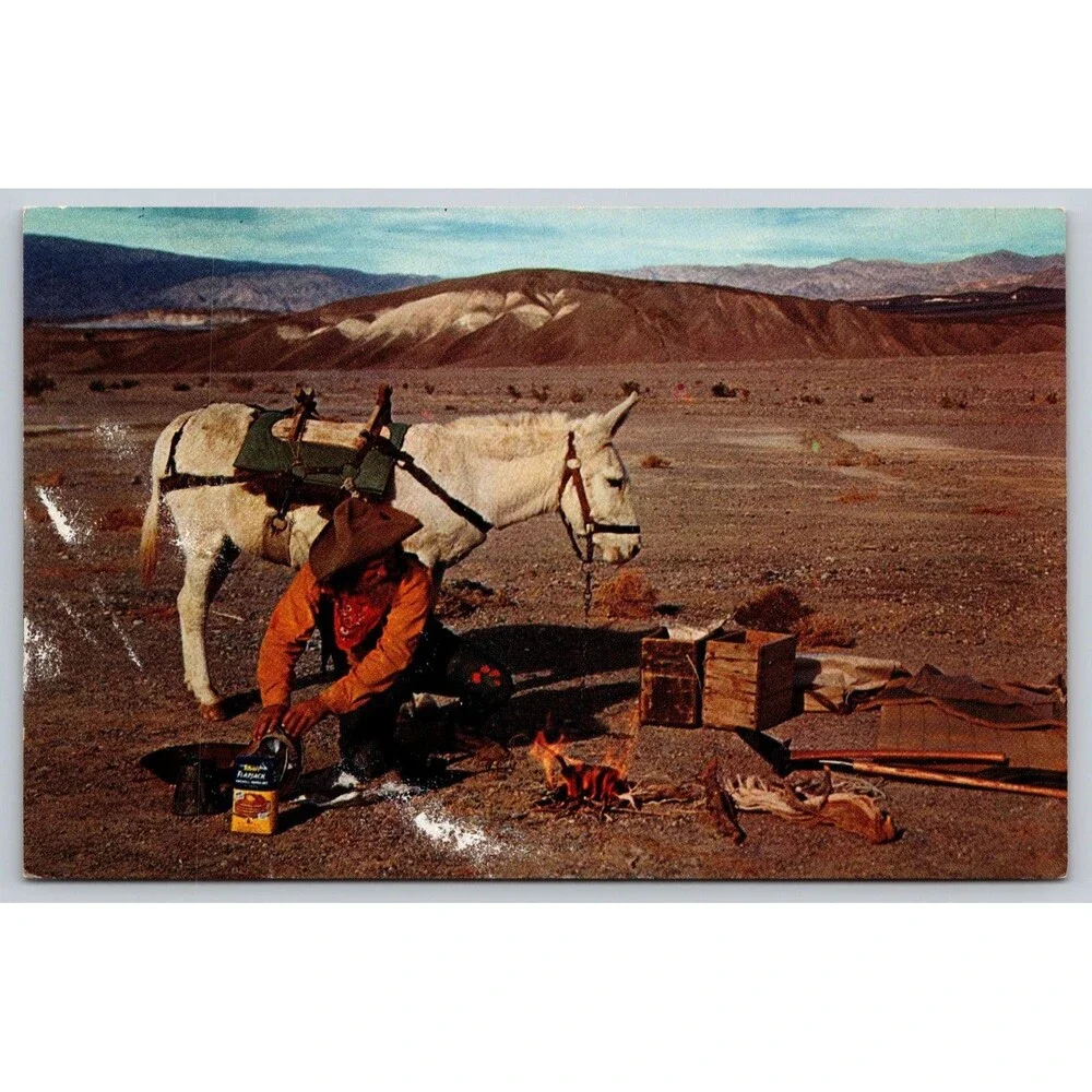 Postcard Vintage CA Prospector's Camp Campfire Burro Mining Unposted c1950s READ